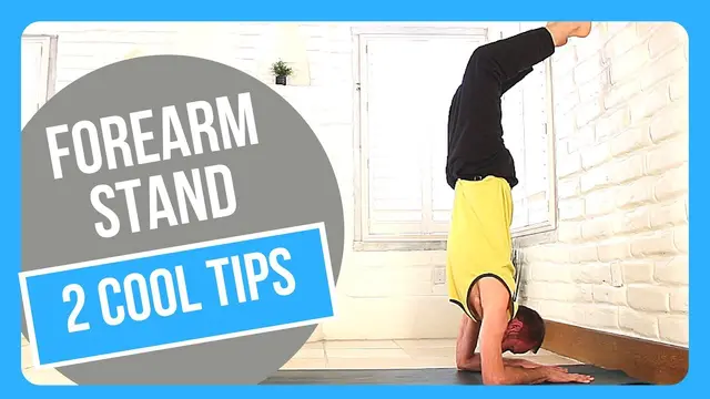Forearm stand Tips - How to do Pincha Mayurasana