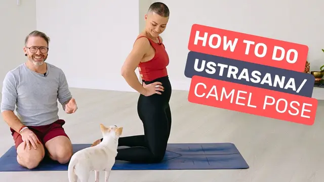 How to do Ustrasana | Camel Pose in Ashtanga Yoga’s Intermediate Series