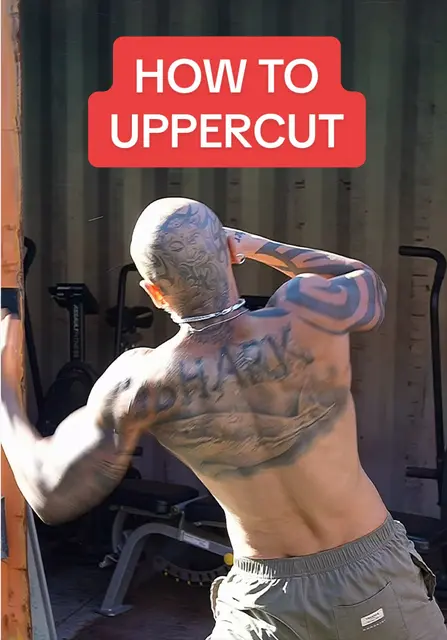 Lead Uppercut Technique: Do's and Don'ts for Boxing | TikTok