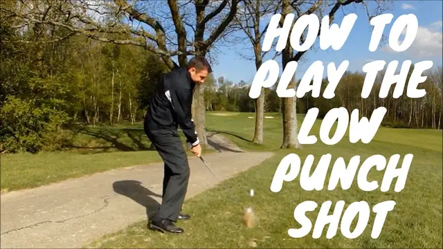 Mark Wood Golf Academy - Low Punch Shot