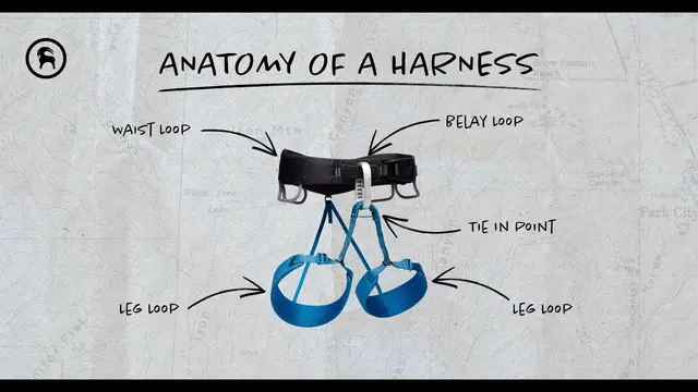Climbing Harness Guide!