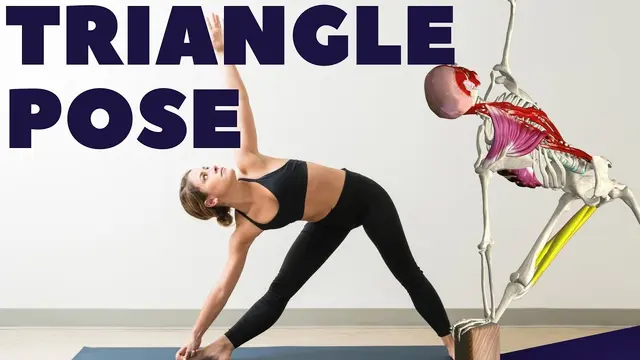The Triangle Pose: Anatomy, Common Problems & Solutions