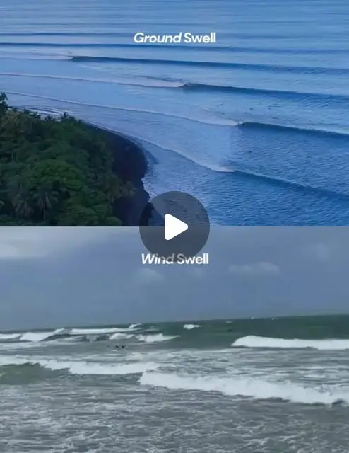 Reading the surf forecast