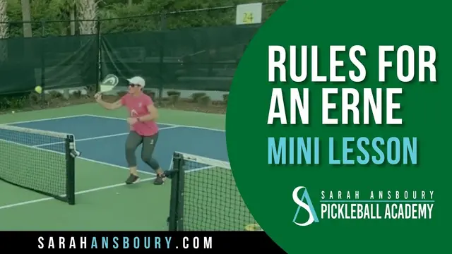 Rules For An Erne - Mini-Lesson by Sarah Ansboury