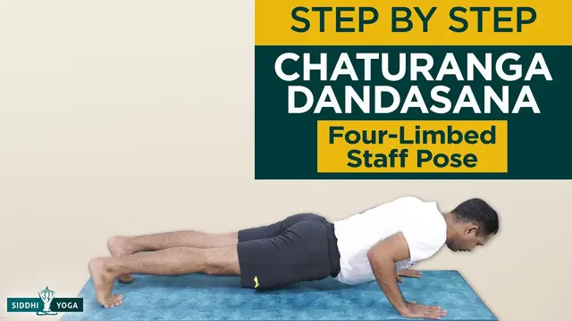 Chaturanga Dandasana (Four-Limbed Staff Pose)