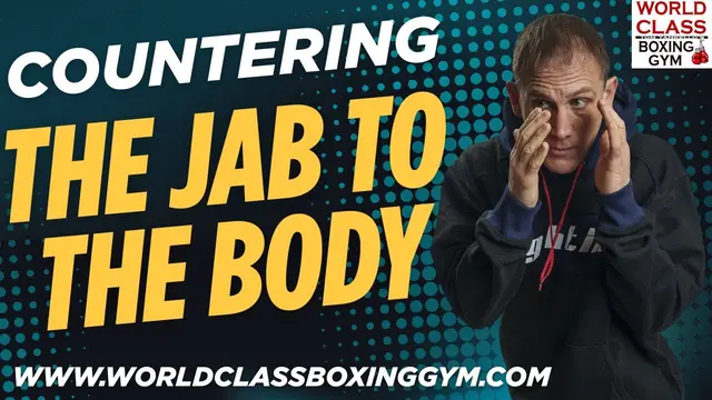 How To Counter The Jab To The Body With Your Rear Hand (Pro-Level Parry + Right Hand Breakdown)