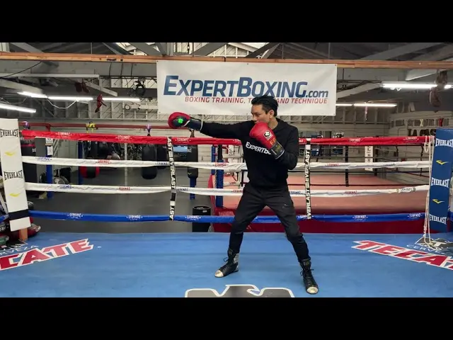Southpaw Boxing Technique - BASIC JAB