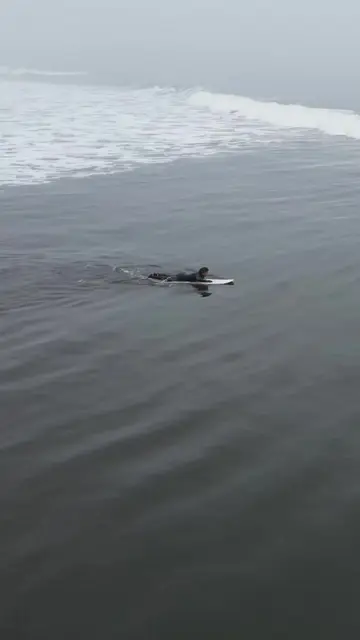 How to Duck Dive a Longboard: 4-Step Technique for More ...