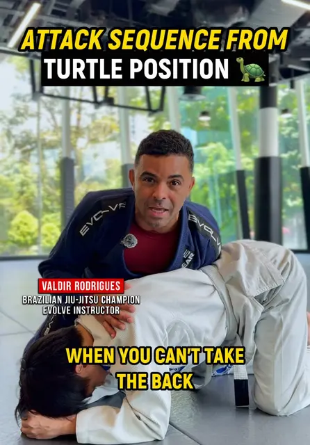 BJJ Turtle Position Attack: Back Take Technique - TikTok