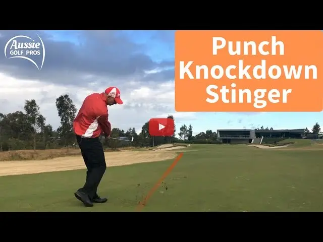 Punch Shot vs Knockdown Shot vs Tiger Woods Stinger
