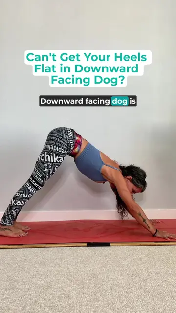 Understanding Downward Dog: Flexibility & Alignment Tips