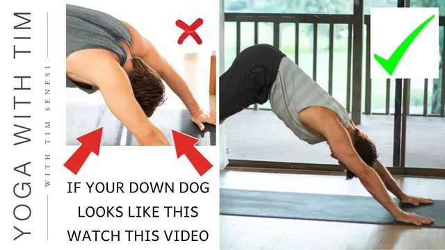 Downward Dog -  Learn How to Fix & Align Your Downward Facing Dog Pose | Yoga With Tim