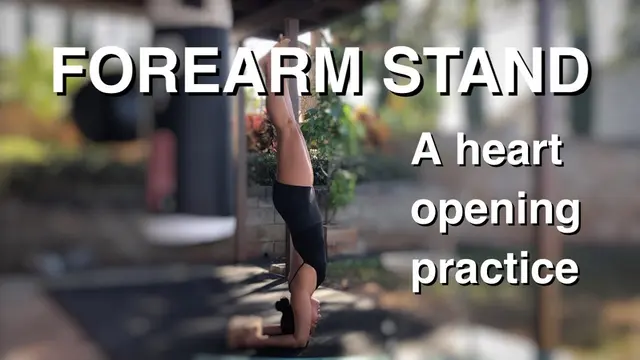 Forearm Stand (Pincha Mayurasana) | Yoga Tutorial | Heart Opening Yoga
