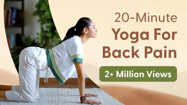 20 Minute Yoga for BACK PAIN @satvicyoga