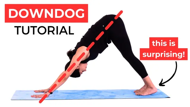 How to do Downward Facing Dog | Yoga for Beginners Pose Tutorial
