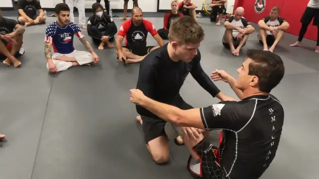 Butterfly guard