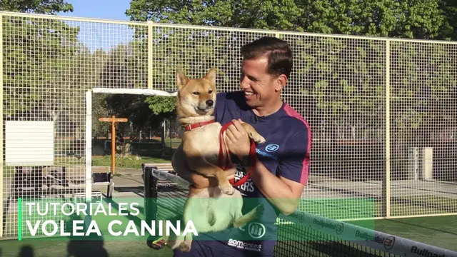 Learn with Paquito Navarro 4x02 | Canine Volleyball