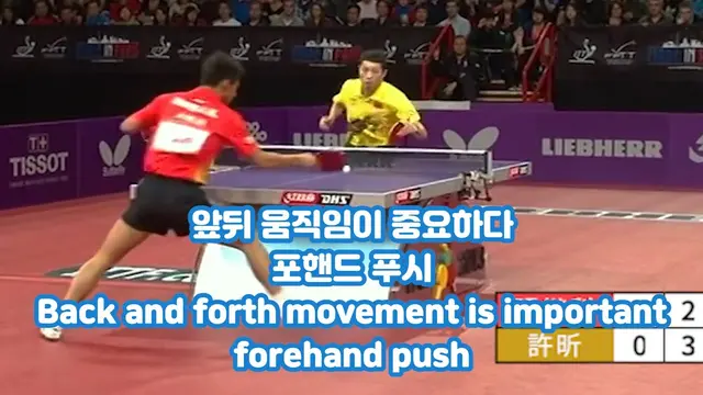 앞뒤 움직임이 중요하다 포핸드 푸시 Back and forth movement is important forehand push
