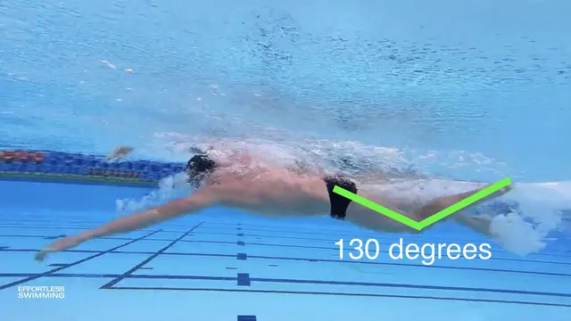 How Much Should Your Knees Bend In Freestyle Kick