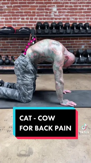 Yoga for back pain