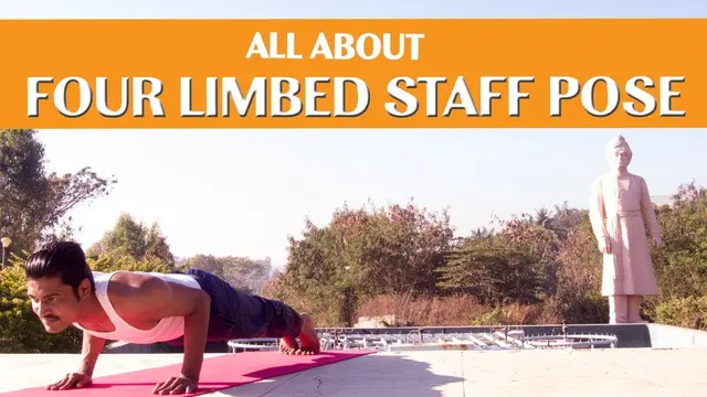 How to do Chaturanga Dandasana (Four Limbed Staff Pose): Yoga for Beginners| Triyogam Series