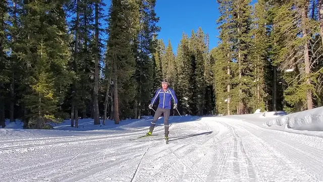 Nordic Bite: How to Attain an Effective Body Position for Skiing