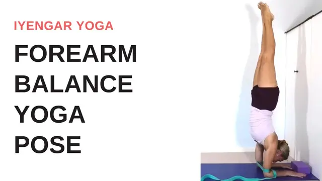 FOREARM STAND yoga pose - Pincha Mayurasana progression | Iyengar yoga