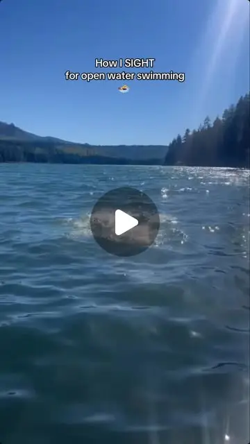 Here are some different ways to sight for open water! #swim ...