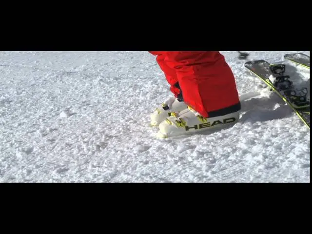 Tips Up - From the Snow Up, An Ideal Ski Stance