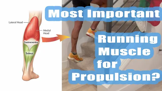 Running "Core" Strength Routine Exercises: Calf Raises by Coach Sage Canaday