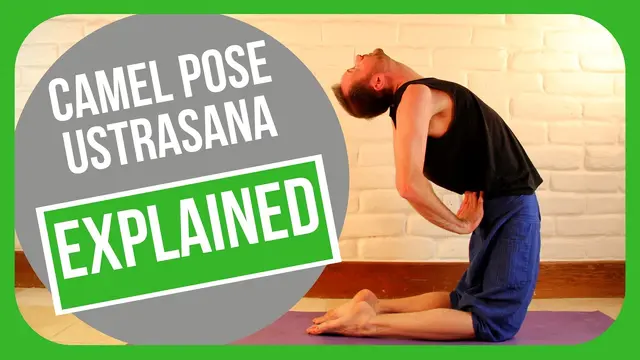 How to do Camel Pose - Yoga Education (Ustrasana)