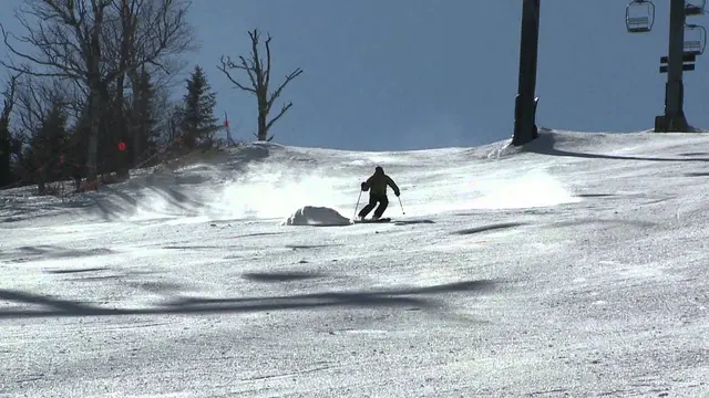 PSIA-AASI Go With A Pro: Skiing on Ice