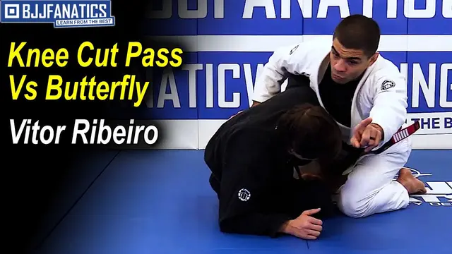 Knee Cut Pass Vs Butterfly by Vitor "Shaolin" Ribeiro