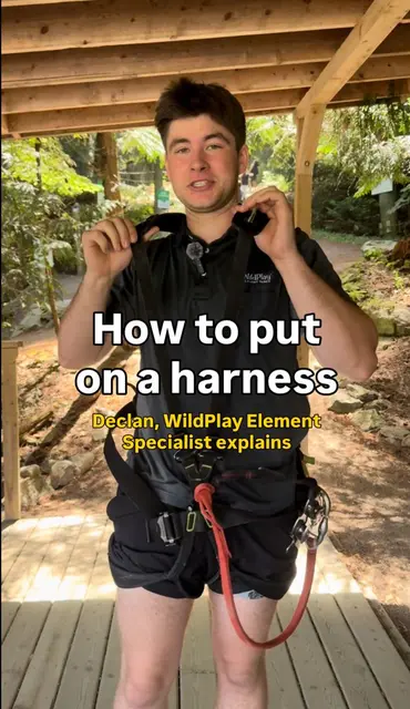 How to Put On a Climbing Harness Step-by-Step | TikTok