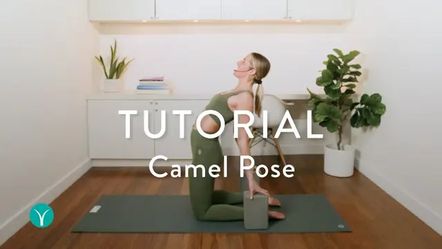 The Secret to Camel Pose (Ustrasana) + Common Mistakes / Fixes!