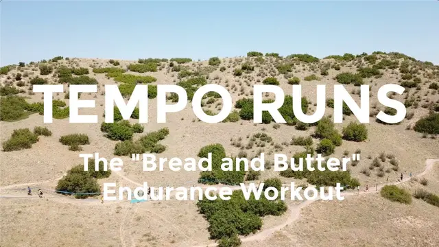 Tempo Runs: Examples, Pacing, and Types of Tempo Workouts