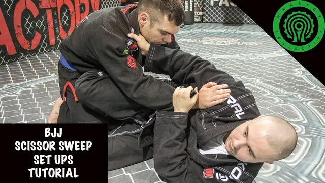 BJJ Scissor Sweep Set Ups Tutorial