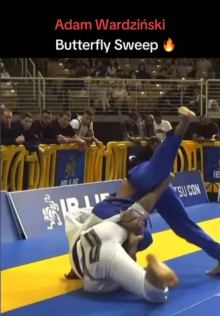 Master the Butterfly Sweep in Brazilian Jiu-Jitsu - TikTok