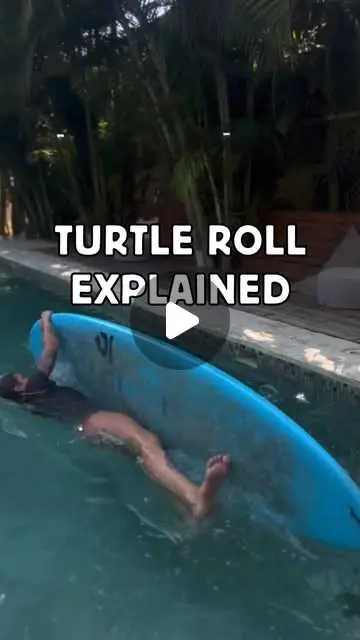 Turtle roll