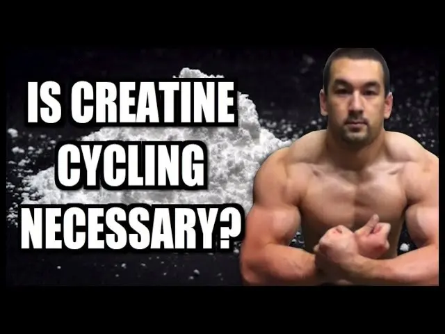 Is A "Creatine Cycle" Necessary?