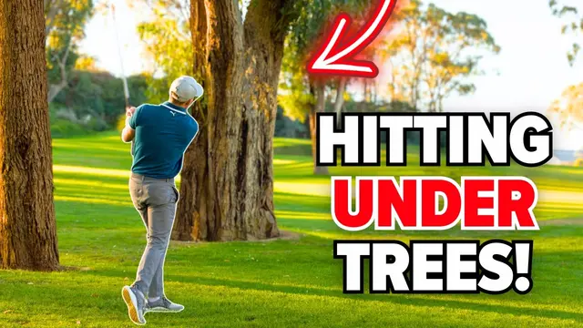 HOW TO HIT OUT THE TREES | COURSE MANAGEMENT