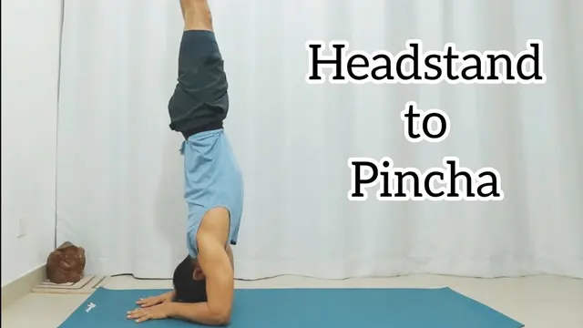 How to do Headstand to Forearm Stand (Pincha Mayurasana) | Yoga Macau 🇲🇴