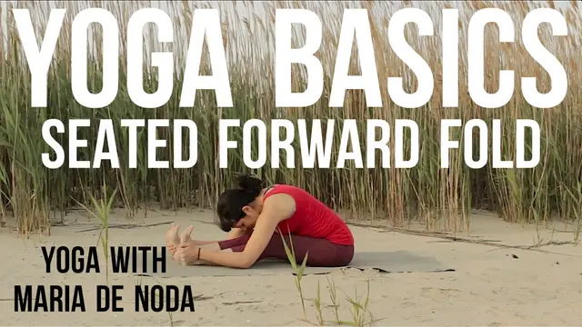 Seated Forward Fold