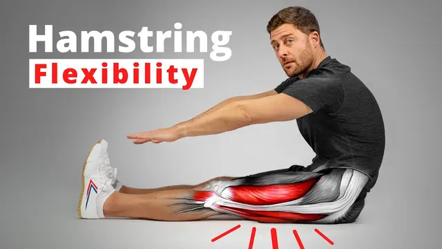 The Science of Hamstring Flexibility โ Anatomy & Training Techniques