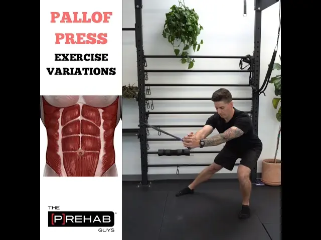 Pallof Press Exercise Variations