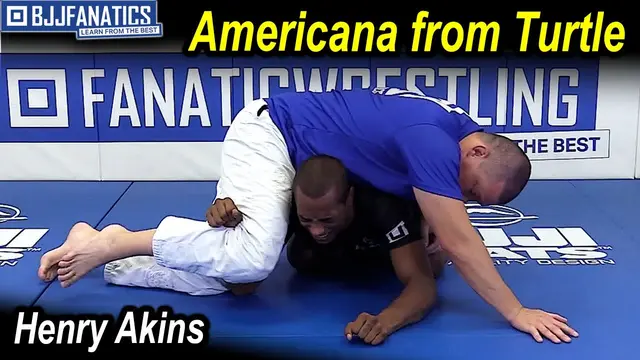 Americana From Turtle by Henry Akins