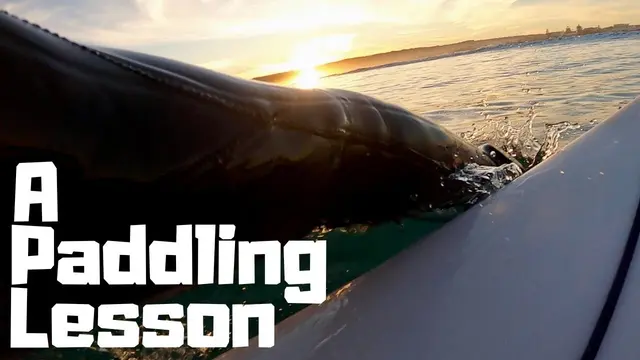 How To Stop Getting So Tired And Sore From Paddling
