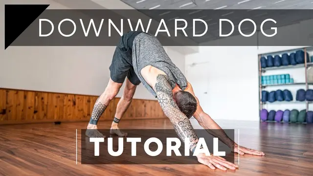 Downward Facing Dog Tutorial | Breathe and Flow Yoga