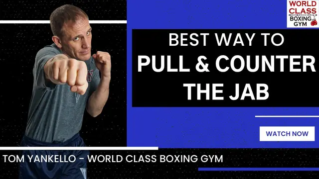 This is the Best Way to Pull and Counter the Jab