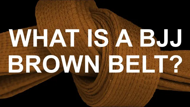 What is a BJJ Brown Belt?